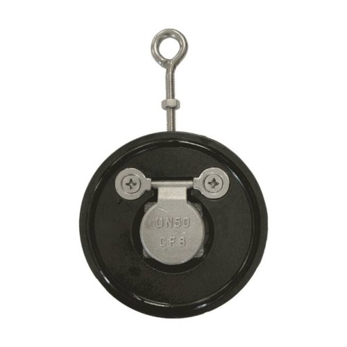 Клапан обратный стальной однодисковый межфланцевый 1,6 МПа Benarmo 80х16 мм в Ростове-на-Дону